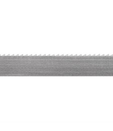 Nóż taśmowy jednostronnie ząbkowany, ostrzony WP25D szerokość 25mm