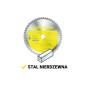 Piła widiowa TCT do cięcia stali nierdzewnej Evolution 230mm / 60z
