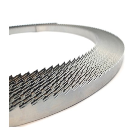 Piła taśmowa do drewna GLOB 10x0,60mm, podziałka 6,52mm, 50mb