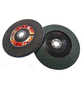 Ściernica listkowa talerzowa lamelkowa fi 180mm
